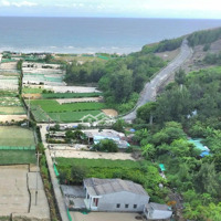Bán Đất Tại An Hải, Lý Sơn, Quảng Ngãi, 180 Triệu, 256 M2 Đẹp, Nhiều Tiện Ích