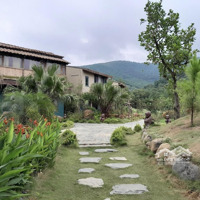Bán Mảnh 460M Lương Sơn Hoà Bình - Đất Nghỉ Dưỡng Cho Ai Đang Tìm Ngôi Nhà Nghỉ Dưỡng Thứ 2