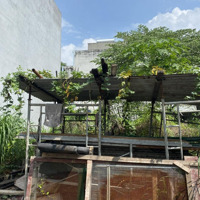 Bán Đất Hẻm 26 Đường 12 Tam Bình Thủ Đứcdiện Tích4 X 13,3M Xd Tự Do Full Thổ Cư Liên Hệ: 0932,683,991