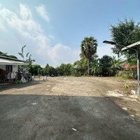 Hot! Cho Thuê Kho, Nhà Xưởng, Đất Thổ Cư Tại Đa Phước, Bình Chánh, Có Sẵn Nhà Cấp 4, Xây Dựng Tự Do