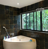 Bán Nhà Biệt Vườn Mai 369M2 Tại Đường Phố Cúc, Ecopark, Văn Giang, Hưng Yên, 130 Triệu / M2