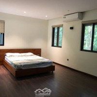 Bán Nhà Biệt Vườn Mai 369M2 Tại Đường Phố Cúc, Ecopark, Văn Giang, Hưng Yên, 130 Triệu / M2