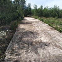 Bán Lô Đất Thổ Cư Thôn Khánh Xuân, Xã Diên Lâm, Huyện Diên Khánh