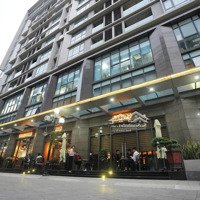Quỹ Căn 2-3 Phòng Ngủ Siêu Hiếm -The Terra 83 Hào Nam Bàn Giao Full Nội Thất Cao Cấp Liên Hệ: 0822238686