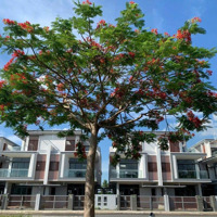 Bán Gấp Biệt Thự 160M2 ( 8Mx20M) Tại Kđt Đông Tăng Long, Tp Thủ Đức Giá Bán 11,4 Tỷ