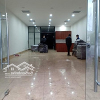 Cho Thuê Nhà Riêng A10 Nguyễn Chánh Cầu Giấy 80M2X5T, Thông Sàn View Vườn Hoa