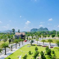 Danko City - Tổng Hợp Quỹ Căn Đang Hot Nhất