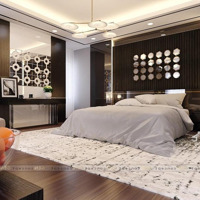 Chính Chủ Xuất Ngoại Cần Bán Gấp Nhà Khu Biệt Thự K300, Phường 12, Tân Bình, 8X177M, Hầm 3 Lầu