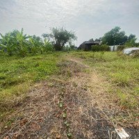 Bán Đất 1644M2 Kdc Đông Đúc Tương Lai Lên Thổ Cư