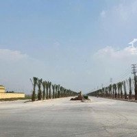 Chuyển Nhượng Kho Xưởng Và Đất Công Nghiệp