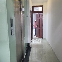 Tổng Hạ Hơn 5 Tỷ - Siêu Mặt Tiền 5 Tầng Lý Thường Kiệt Q.tân Bình - Vị Trí Đắc Địa - 29.3Tỷ Tl
