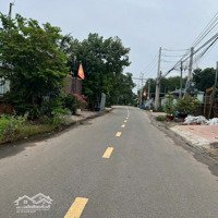 Chính Chủ Cần Bán Lô Đất Diện Tích 250M2 Giá Bán 490 Triệu Ngay Đường Khánh Bình 70, Khánh Bình, Tân Uyên