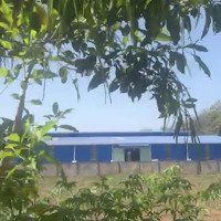 Bán Đất Xã Tân Long, Huyện Phú Giáo, Bình Dương