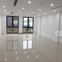 Cho Thuê Nhà Phố Trần Khát Chân 60M2 X 6 Tầng, Mt6M, Nhà Mới Xây Đẹp, Thang Máy, Điều Hòa. 65 Triệu/Th