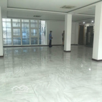 Cho Thuê Biệt Thự Góc 2Mặt Tiềnnguyễn Minh Hoàng, P12. K300, 8X18M, Trệt 4 Lầu, Trệt Suốt, Giá Bán 60 Triệu