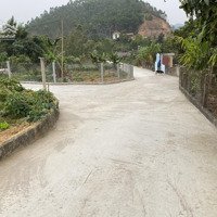 Giá Siêu Hời: Chỉ 520 Triệu Đã Được Sở Hữu 224 M2 Đất Ở Tại Thị Trấn Thanh Thủy