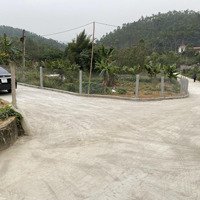 Giá Siêu Hời: Chỉ 520 Triệu Đã Được Sở Hữu 224 M2 Đất Ở Tại Thị Trấn Thanh Thủy