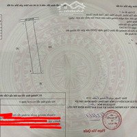 Cơ Hội Lô Đất Trồng Cây Lâu Năm Tại Hàm Tân, Phan Thiết, Gần Khu Công Nghiệp Tân Đức