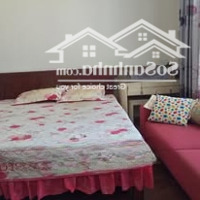 Tôi Cần Cho Thuê Gấp Căn Hộ Times City 2 Pn Đẹp, Giá Rẻ