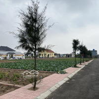 Bán Gấp 90M2 Đất Biển Quất Lâm, Mặt Đường Lớn Hướng Biển Chỉ 11 Triệu/M2