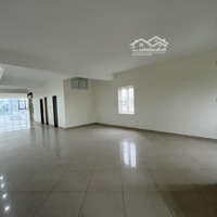 Cho Thuê Văn Phòng Mặt Phố Quang Trung, Diện Tích 180 M2/Tầng, Thông Sàn Như Ảnh