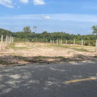 Bán Lô Đất 120M2 Ngay Sau Chợ Bến Đồn Mặt Tiền Đường D2 Tp Bến Cát Sẵn Sổ Hồng Giá 800 Triệu