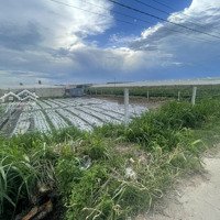 Giảm 500 Triệu Bán 510M2 Đất Phạm Ngọc Thạch, Thị Trấn Thạnh Mỹ, Đơn Dương, Giá Bán 1,8 Tỷ