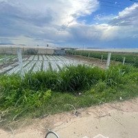 Giảm 500 Triệu Bán 510M2 Đất Phạm Ngọc Thạch, Thị Trấn Thạnh Mỹ, Đơn Dương, Giá Bán 1,8 Tỷ