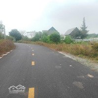 Bán Đất Bình Châu Diện Tích: 249M2 Có 40M2 Thổ Cư Nằm Gần Resort Bangok Và Suối Nước Nóng Bình Châu