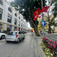 Cho Thuê Nhà Mặt Phố Lê Thái Tổ: 250M2, Mặt Tiền 20M. Thông Sàn, Nhà Đẹp, Thích Hợp Mọi Mô Hình