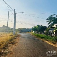 Chủ Cần Bán Nhanh Lô Đất Siêu Đẹp Đường Nhựa Nguyễn Đình Chiểu Tt Đất Đỏ - Bà Rịa Vũng Tàu