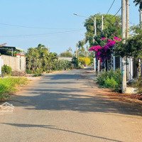 Chủ Cần Bán Nhanh Lô Đất Siêu Đẹp Đường Nhựa Nguyễn Đình Chiểu Tt Đất Đỏ - Bà Rịa Vũng Tàu