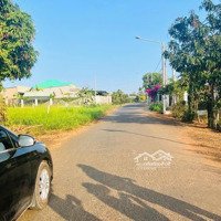 Chủ Cần Bán Nhanh Lô Đất Siêu Đẹp Đường Nhựa Nguyễn Đình Chiểu Tt Đất Đỏ - Bà Rịa Vũng Tàu