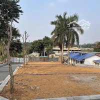 Bán Mảnh Đất Cách Đhqg Chỉ 3Km. Diện Tích 115M, Mặt Tiền 6M. Đường Vào 12M, Tài Chính 1,7 Tỷ