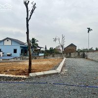 Bán Mảnh Đất Cách Đhqg Chỉ 3Km. Diện Tích 115M, Mặt Tiền 6M. Đường Vào 12M, Tài Chính 1,7 Tỷ