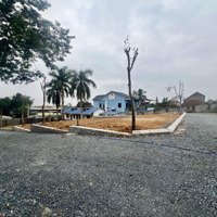 Bán Mảnh Đất Cách Đhqg Chỉ 3Km. Diện Tích 115M, Mặt Tiền 6M. Đường Vào 12M, Tài Chính 1,7 Tỷ