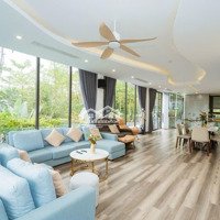 Bán Bt Tại Flamingo Resort, Ngọc Thanh, Phúc Yên, Vĩnh Phúc, 16 Tỷ, 250M2