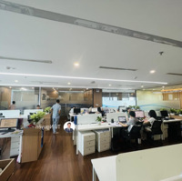 Bql Cho Thuê Văn Phòng Mipec Tower - 229 Tây Sơn.diện Tích800M2 Cắt Linh Hoạt 100M2, 200M2... 500M2