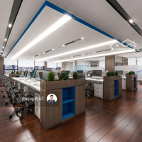 Bql Cho Thuê Văn Phòng Mipec Tower - 229 Tây Sơn.diện Tích800M2 Cắt Linh Hoạt 100M2, 200M2... 500M2