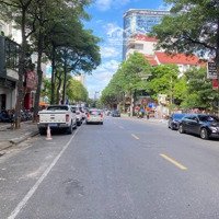 Hiếm, Ô Tô 45 Chỗ, Sát Phố, Quần Ngựa, Ba Đình, Vỉa Hè, Mới Đẹp, 49M,Mặt Tiền6M, 15.9 Tỷ