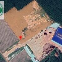 Cho thuê nhà xưởng gần 10.000m2 tại Phú Giáo, Bình Dương