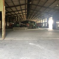 Chính Chủ Cần Cho Thuê Nhà Xưởng Tại 41 Võ Văn Bích- Củ Chi, Tổng Diện Tích: 13,000 M2