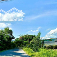 Đất Đường Nhánh Mỹ Xuân - Tóc Tiêndiện Tíchgần 300M2 Sẵn Thổ Cư