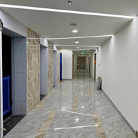 Cần Bán Căn Góc 3 Phòng Ngủhướng Đông Nam Tầng 20 Mua Giá Và Hưởng Tất Cả Các Chính Sách Từ Cđt 0942878189