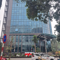 Tòa Văn Phòng, Ngân Hàng, Thẩm Mỹ Viện, Đào Tạo Xklđ Siêu Hiếm. Lô Góc - 255M2, Việt Hưng