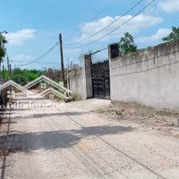 Bán Gần 500M2 Đất Mỹ Xuân Cách Khu Công Nghiệp Chỉ 600M