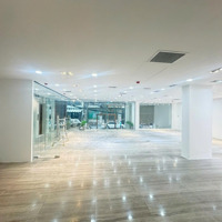 Cho Thuê Nhà Toà Nhà Building Full Ốp Kính Mặt Tiền Trường Sơn, Khu Vip Cư Xá Bắc Hải