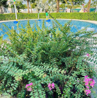 Cắt Lỗ 1 Tỷ Nhà Phố Aqua City 4.6 Tỷ/100M2, Nhà Phố 160M2 Chỉ 6.59 Tỷ. Villa Sông Từ 9.9 Tỷ All In