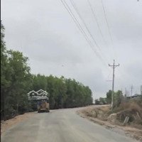 Bán Lô 1.2 Mẫu Tân Bình, Lagi, Đất Cao Ráo, Đường Xe Ô Tô Tận Đất, Giá Bán 1.6 Tỷ