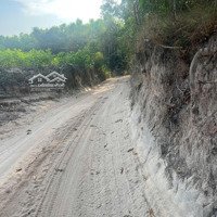 Bán Lô 1.2 Mẫu Tân Bình, Lagi, Đất Cao Ráo, Đường Xe Ô Tô Tận Đất, Giá Bán 1.6 Tỷ